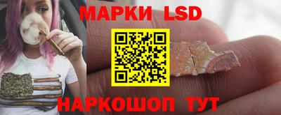 стаф Бузулук