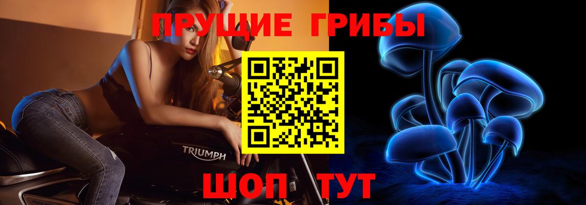 Спасск-Дальний  Галлюциногенные грибы Cubensis  Вход с VPN 